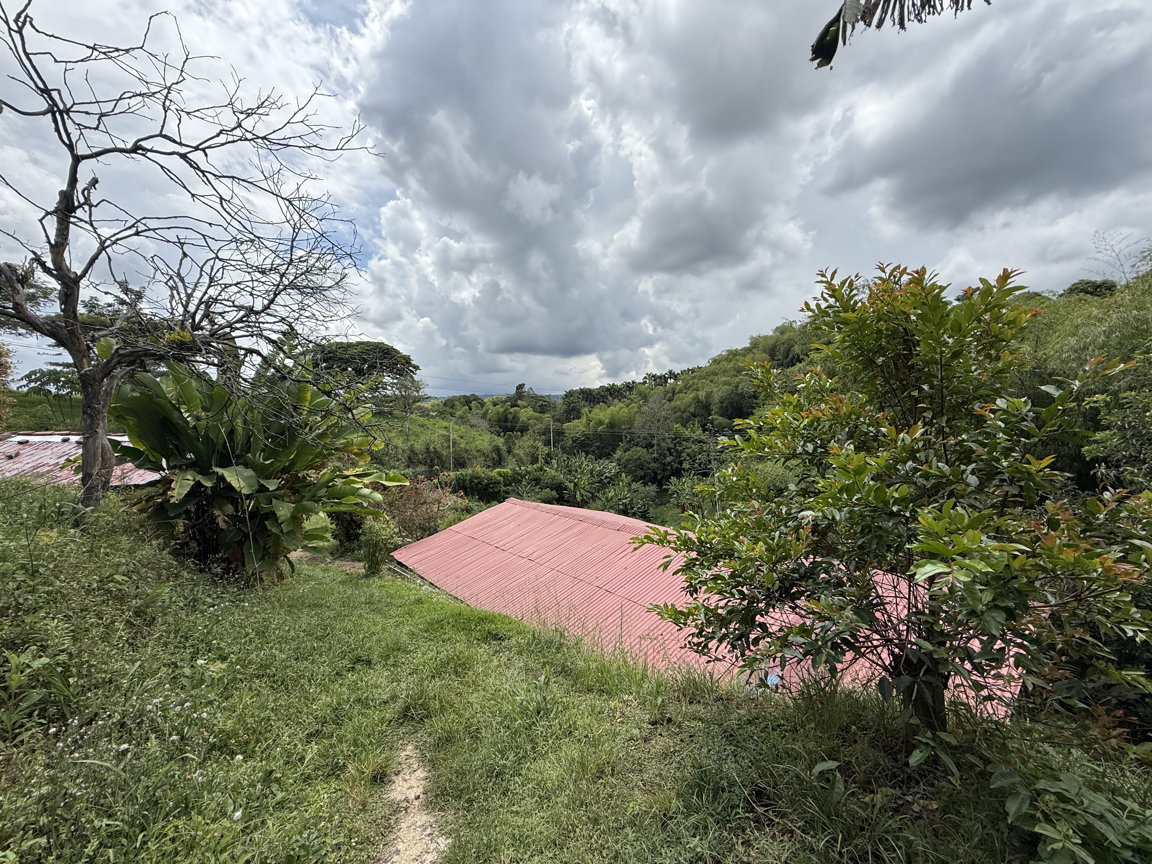 Foto de Lote / terreno para Venta en Cuba , Pereira - 279065163