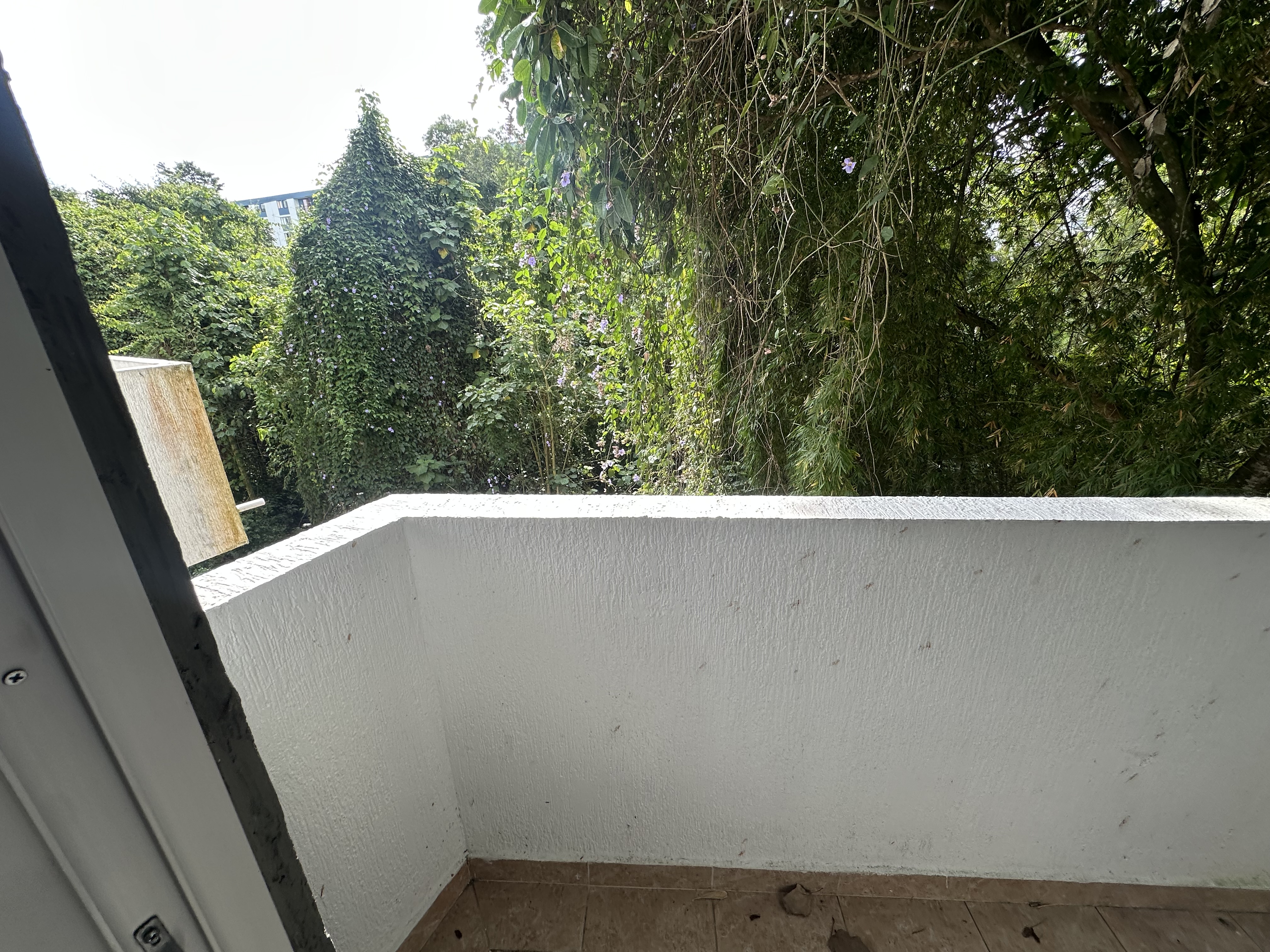 Foto de Apartamento en Arriendo en Avenida 19 norte, Armenia  - 4 - 279068253