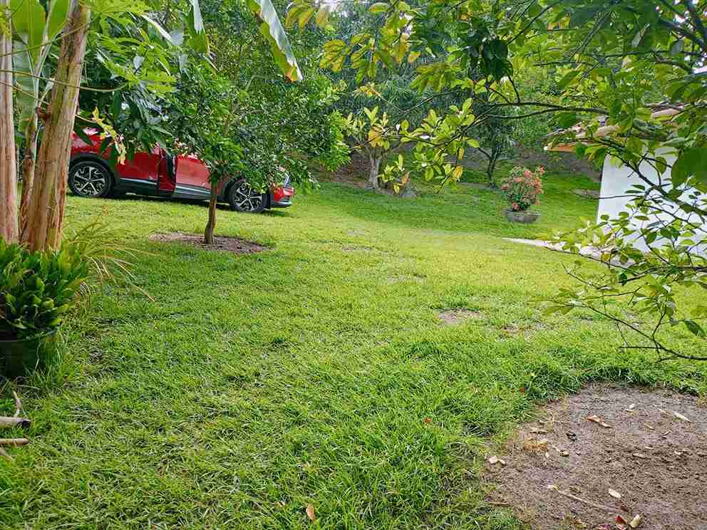 Foto de Casa campestre en Venta en Kilometro 41, Manizales - 2 - 279057741
