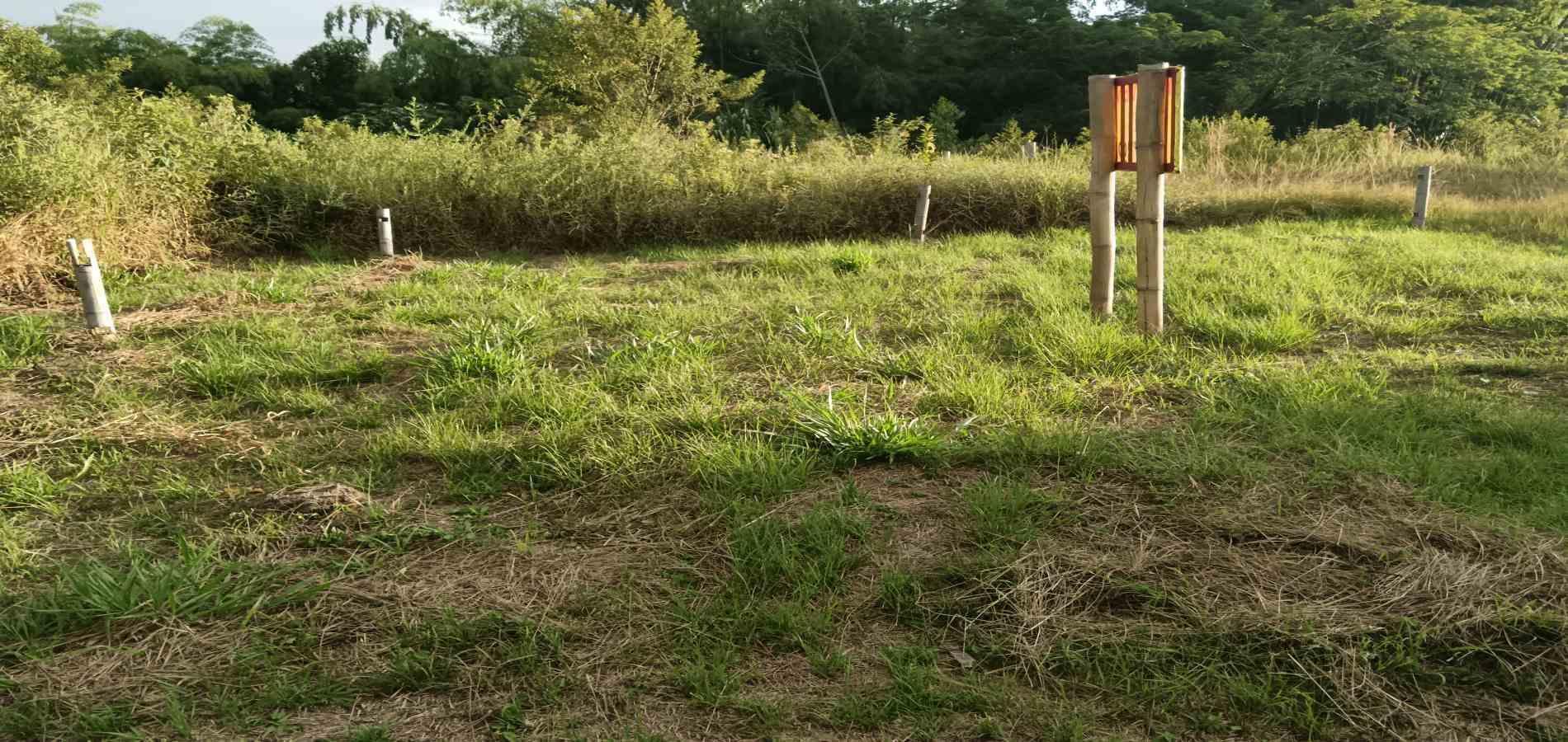 Foto de Lote / terreno en Venta en UrbanizaciÓn santana, Armenia  - 19 - 279059323