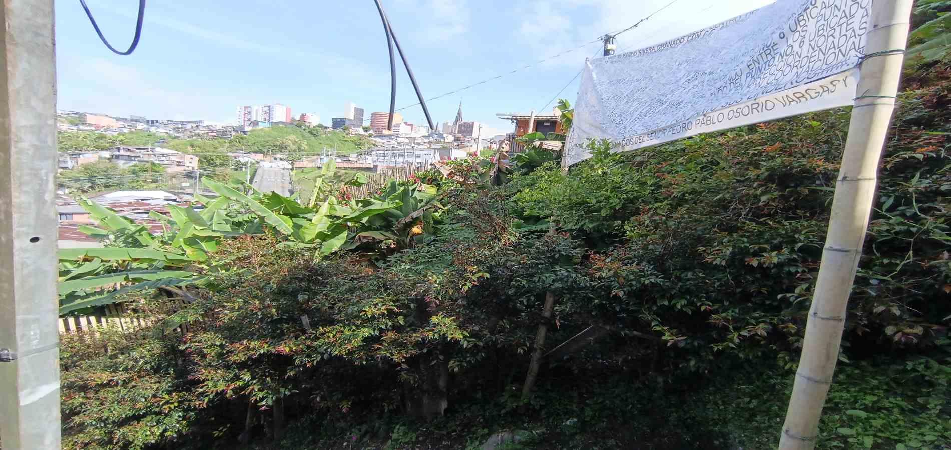 Foto de Lote / terreno en Venta en Campo amor, Manizales - 2 - 279067419