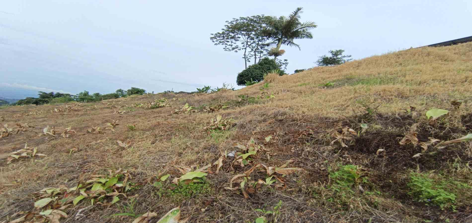 Foto de Lote / terreno en Arriendo en La linda, Manizales - 5 - 279069062