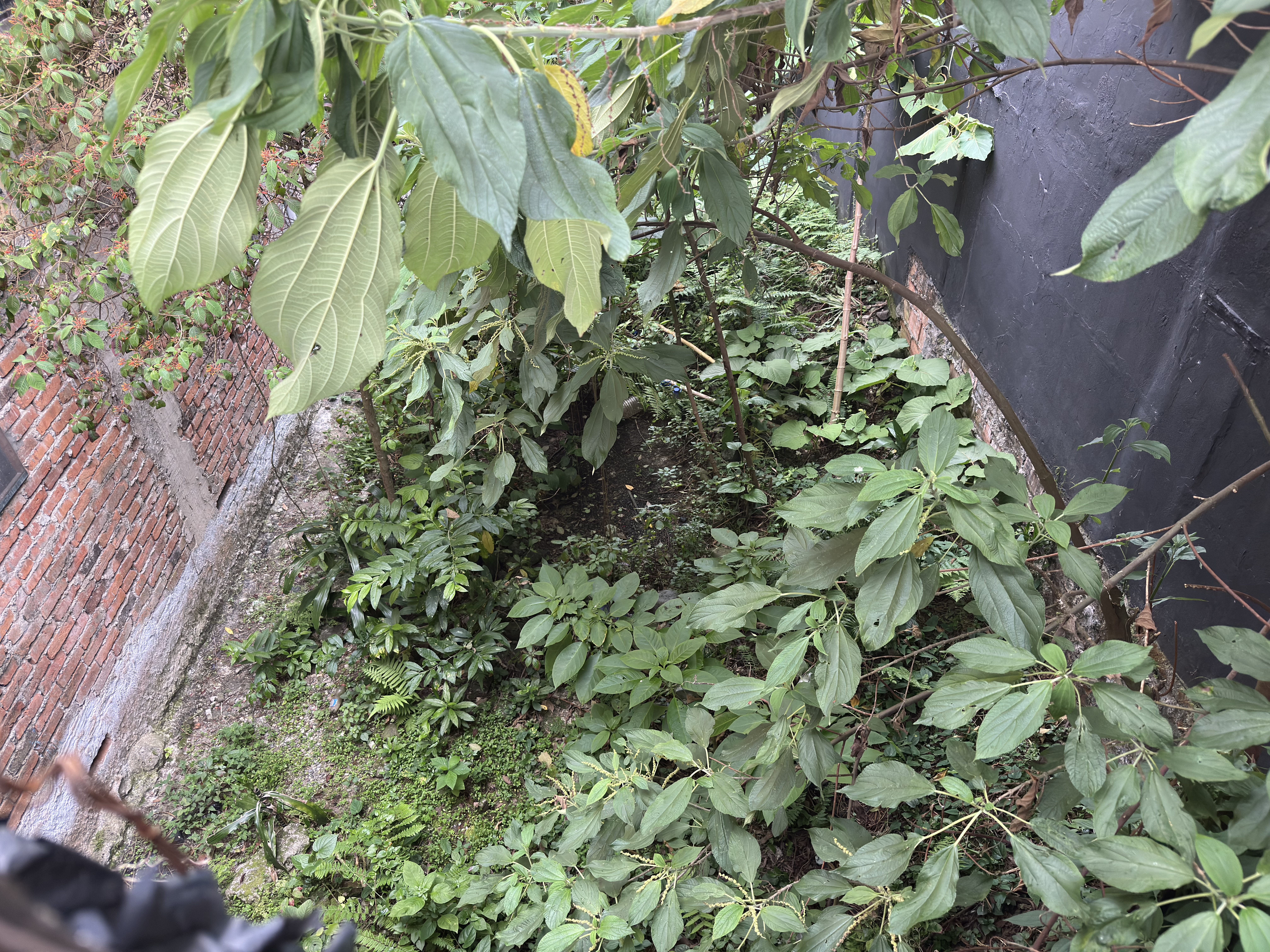 Foto de Lote / terreno en Venta en Fundadores, Armenia  - 6 - 279068364