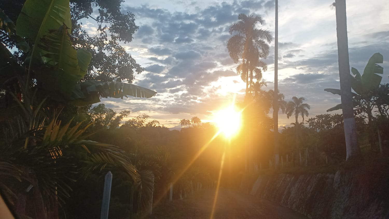 Foto de Lote / terreno en Venta en Via alcala, Pereira - 2 - 279064988