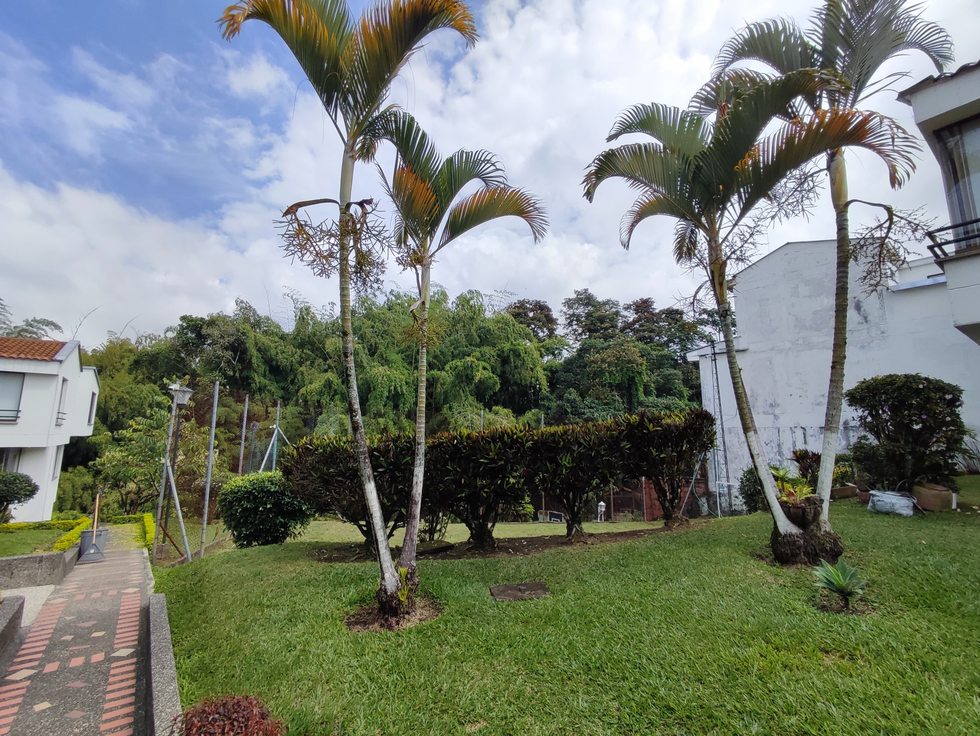 Foto de Casa para Venta en Comuna el jardin/avenida sur, Pereira - 48264