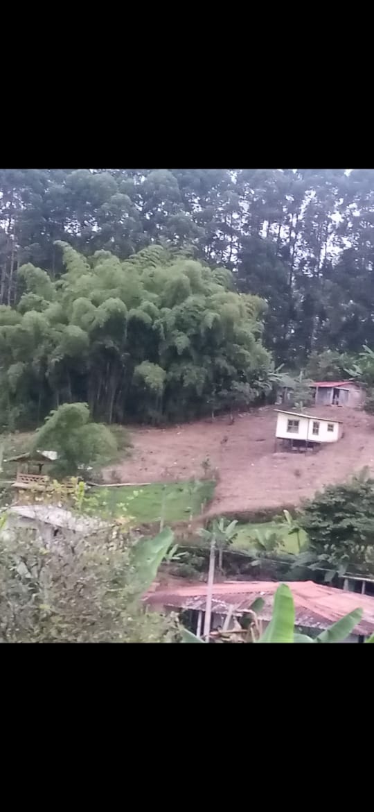 Foto de Lote / terreno en Venta en Vereda yarumal, Pereira - 3 - 279065328