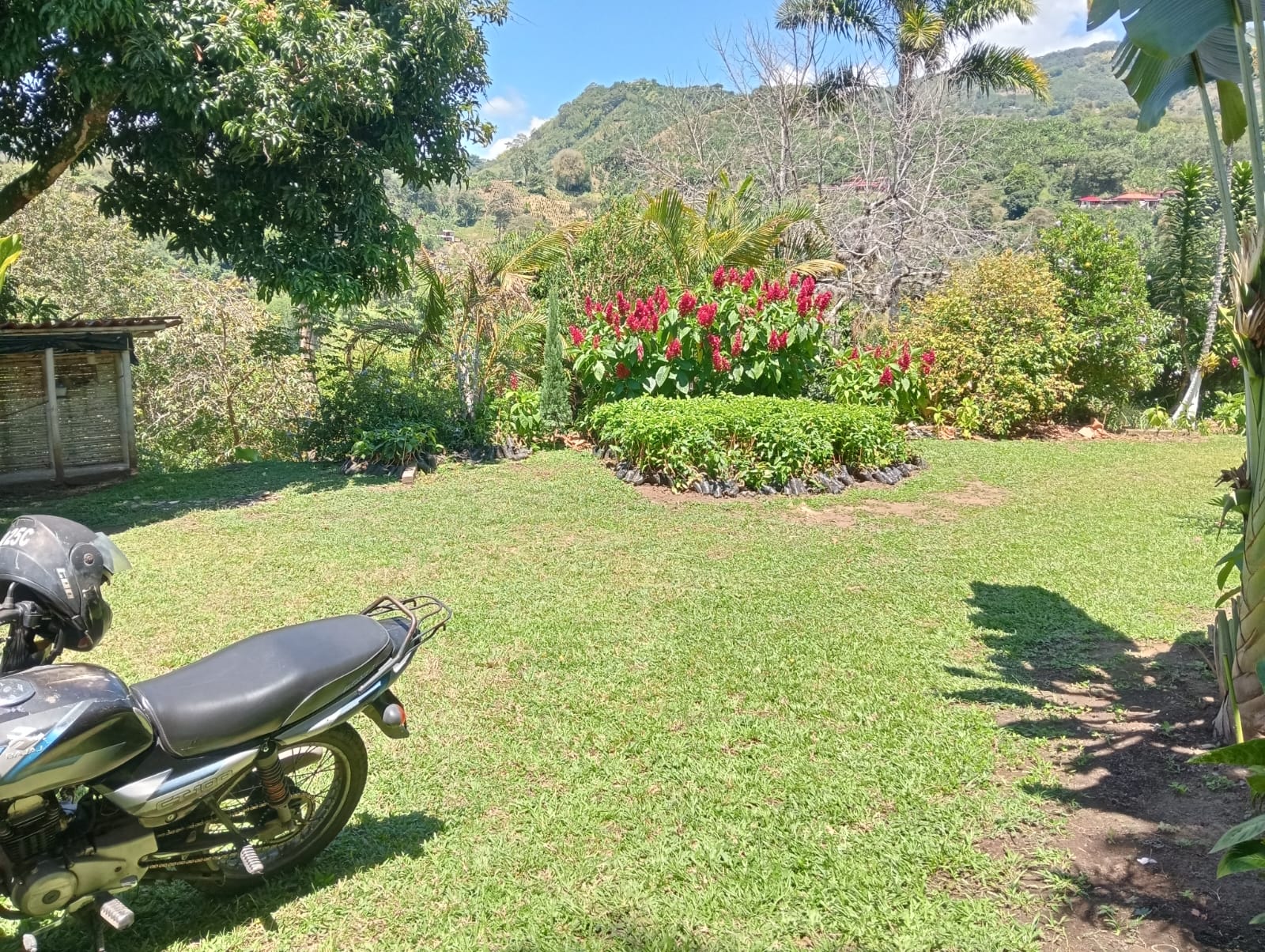 Foto de Finca en Venta en Anserma, Anserma - 9 - 279070221