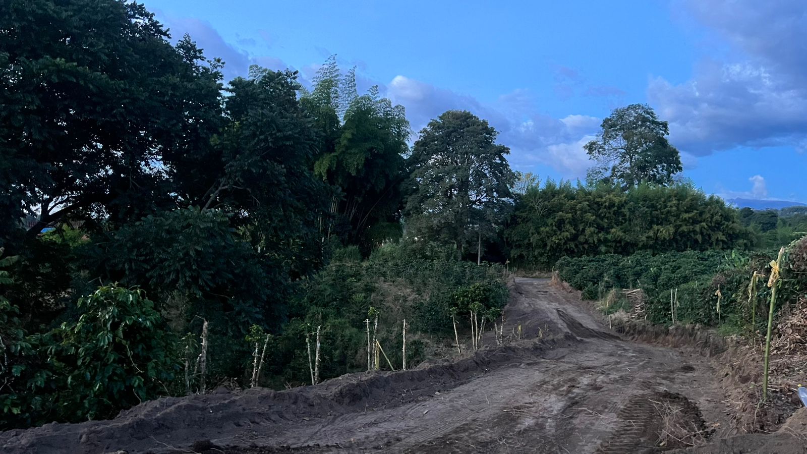 Foto de Lote / terreno para Venta en La mesa, Quimbaya - 279063887