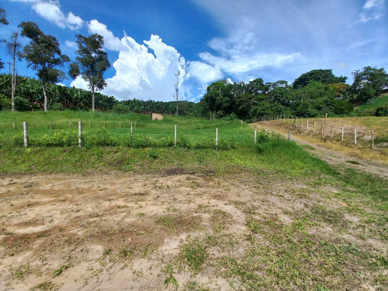 Foto de Lote / terreno en Venta en Vereda altamira, Pereira - 2 - 279067754