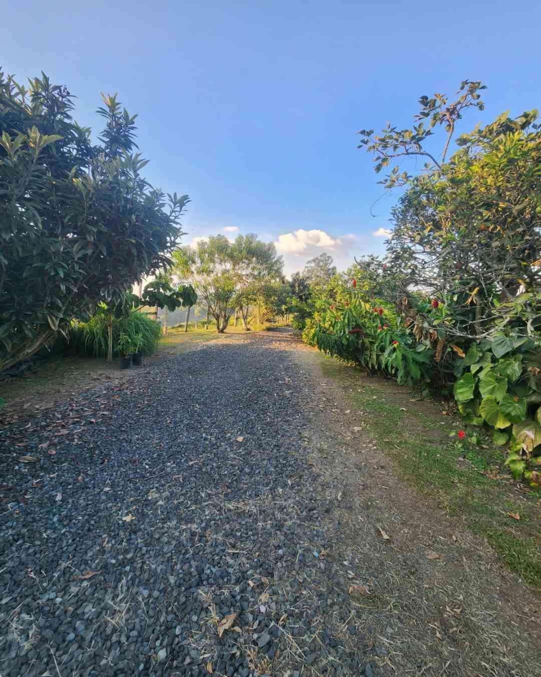 Foto de Finca en Venta en Filandia, Filandia - 15 - 279066535
