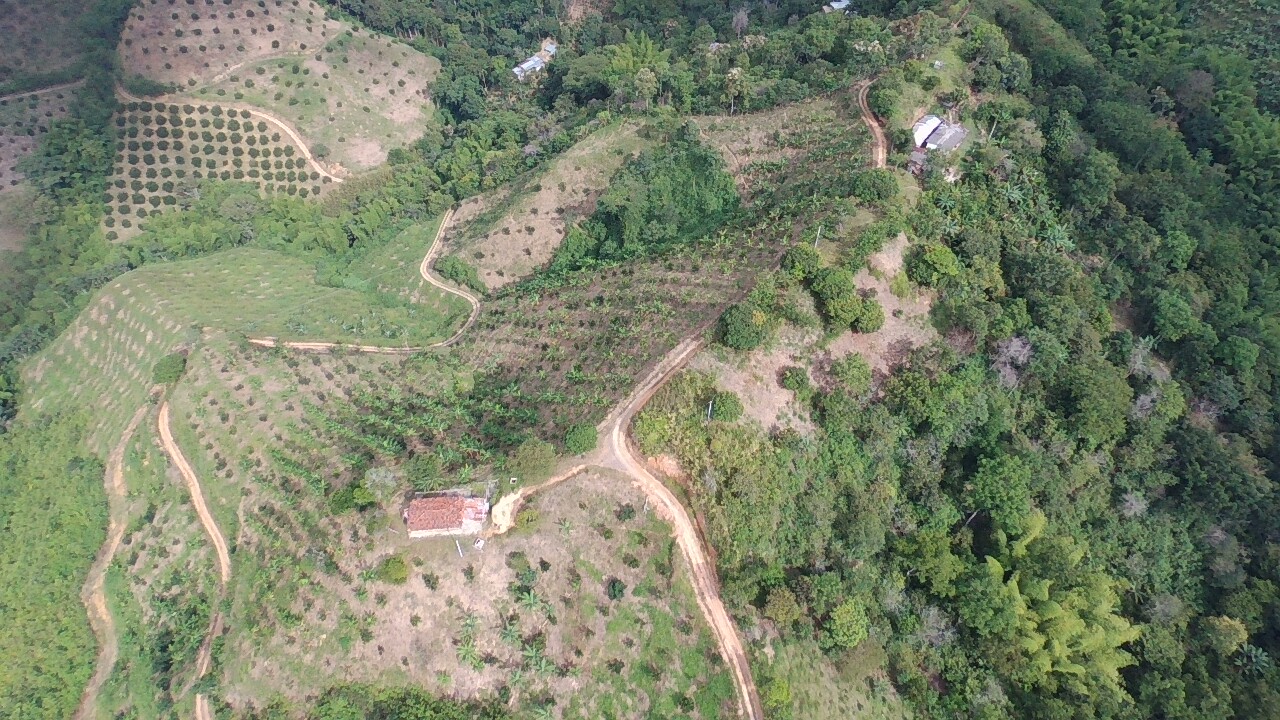 Foto de Finca en Venta en Vereda tambores - balboa, Pereira - 10 - 279070307