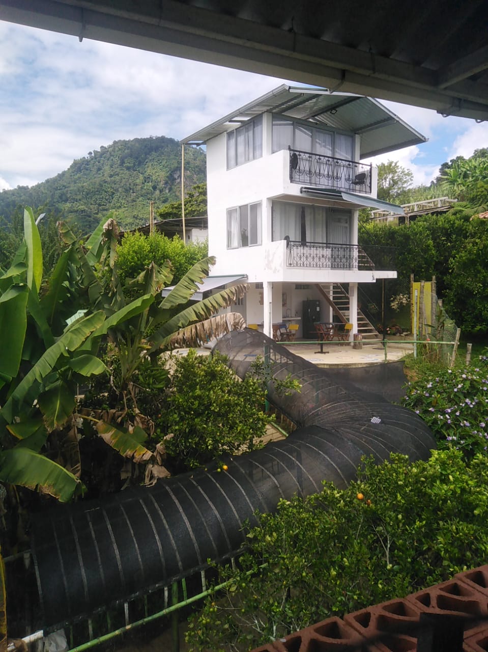 Foto de Finca en Venta en Riosucio, Riosucio - 12 - 279056142