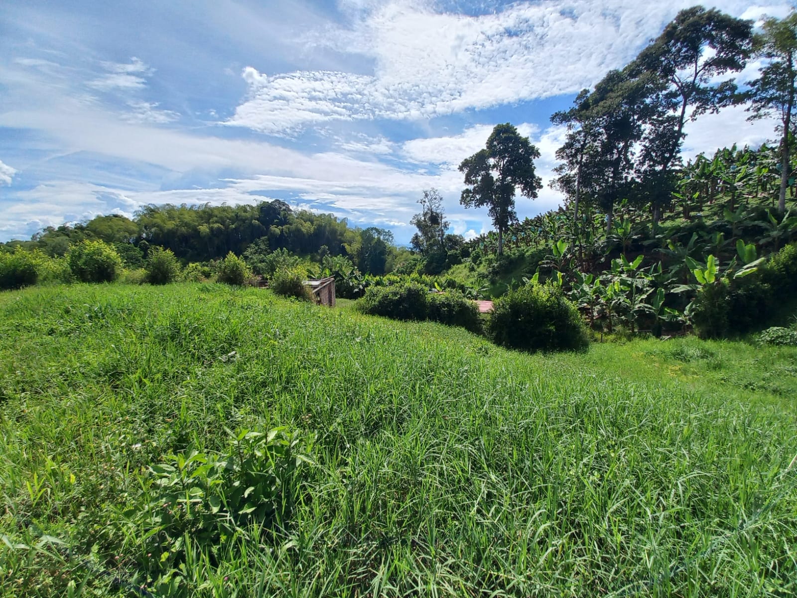 Foto de Lote / terreno en Venta en Vereda altamira, Pereira - 6 - 279067754