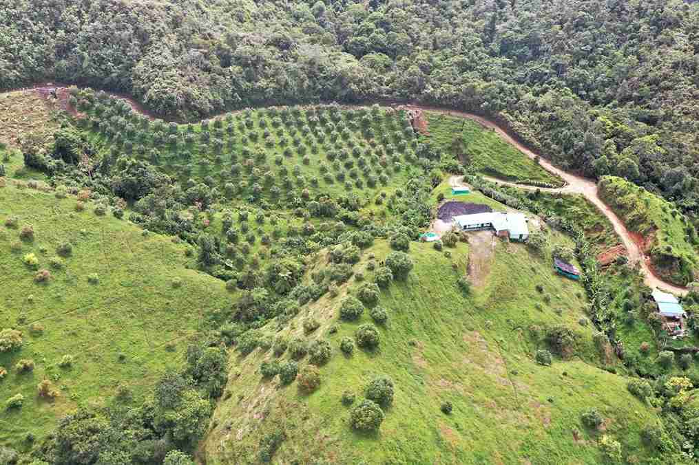 Foto de Finca en Venta en Vereda aguadita, Fresno - 9 - 279054270