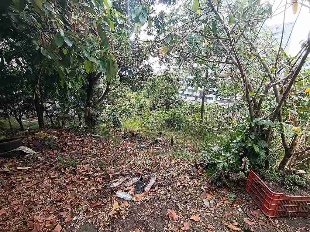 Foto de Lote / terreno en Venta en Avenida 19 norte, Armenia  - 16 - 279058970