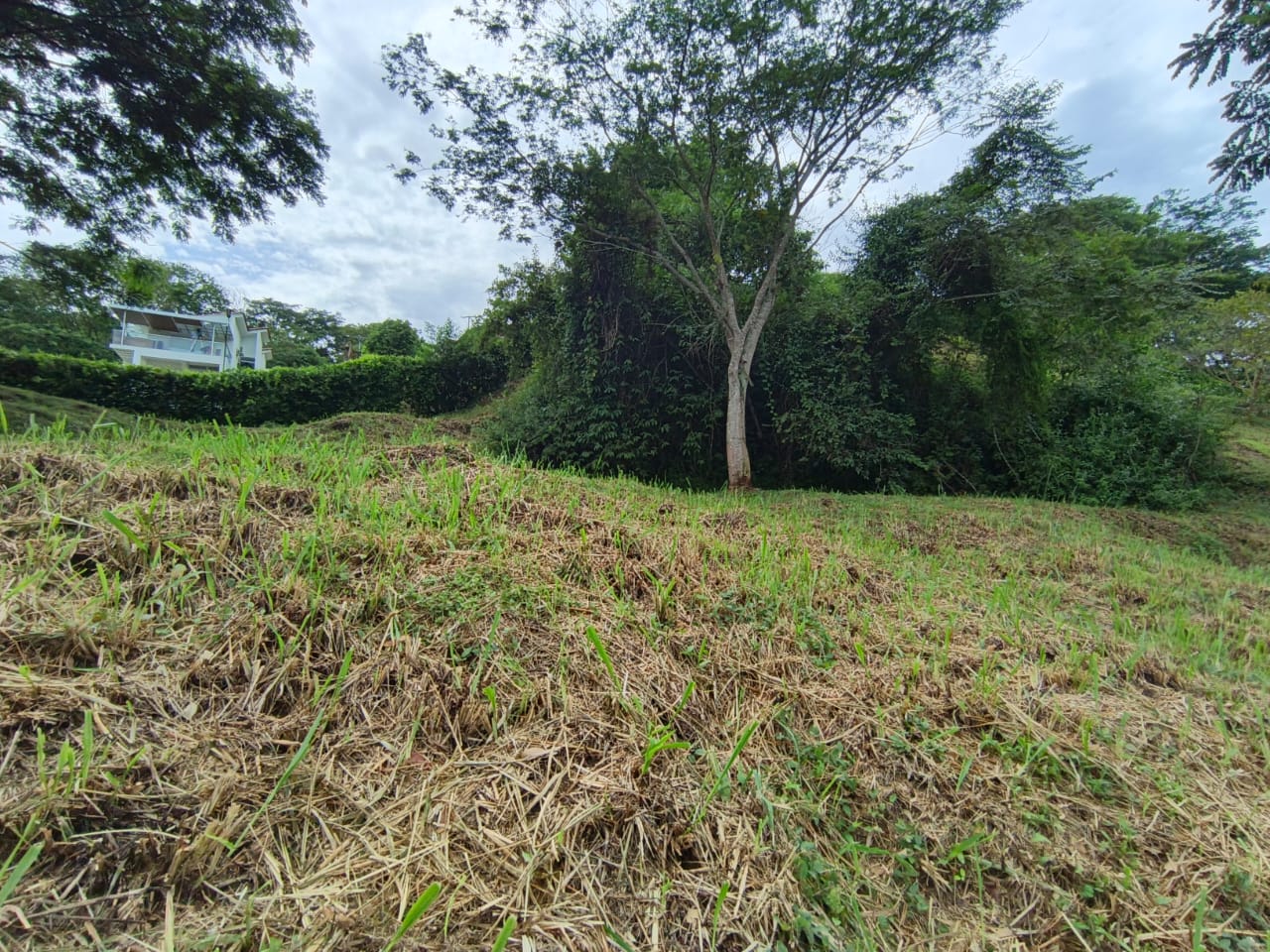 Foto de Lote / terreno en Venta en Condominio campestre reserva del campo, Manizales - 14 - 279064110