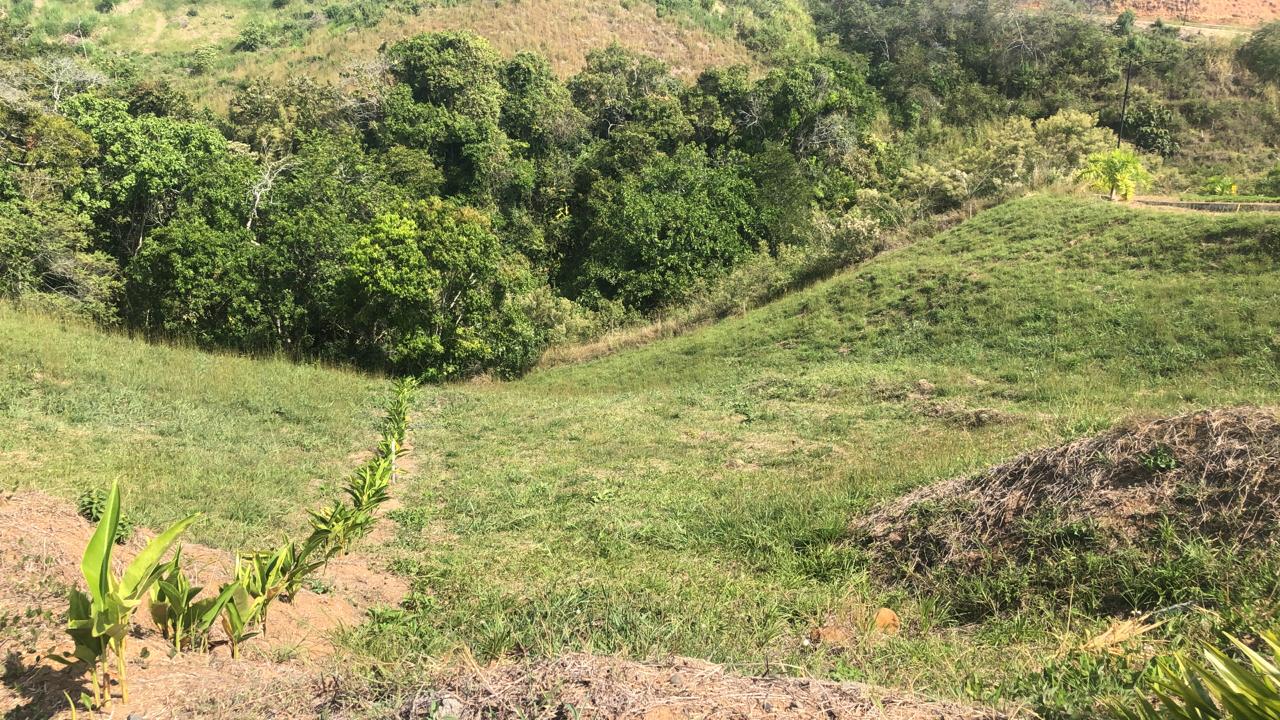 Foto de Lote / terreno en Venta en Cerritos, Pereira - 6 - 279055628