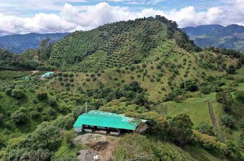 Foto de Finca en Venta en Vereda aguadita, Fresno - 20 - 279054270