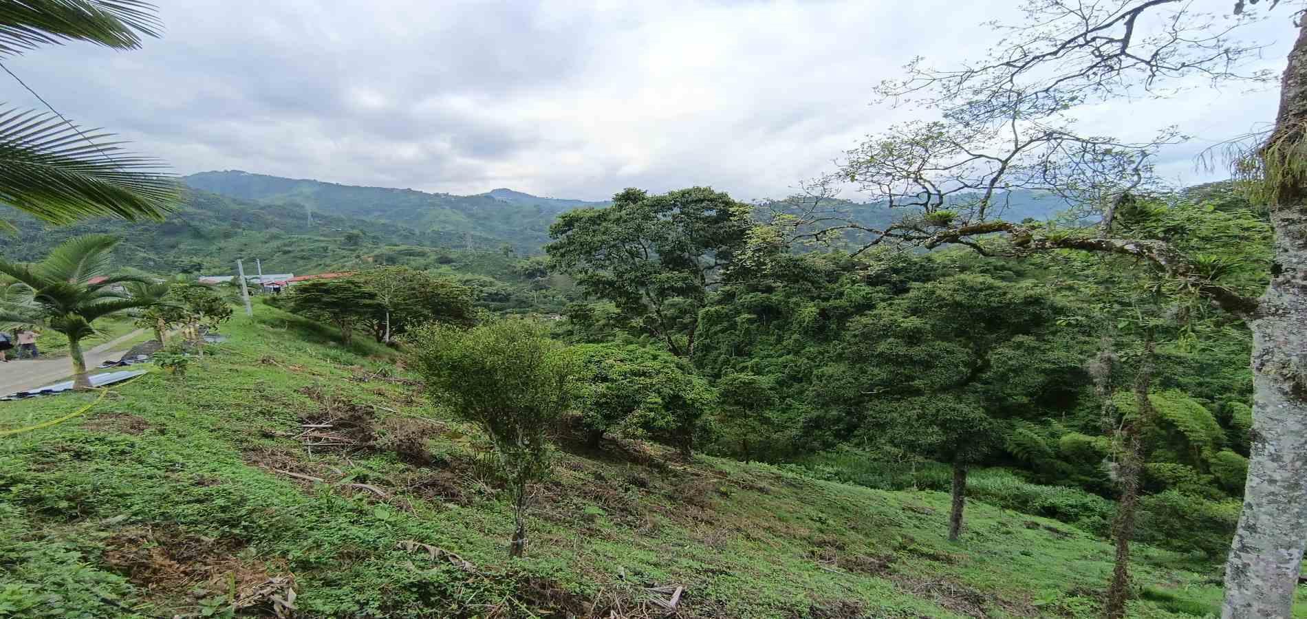 Foto de Lote / terreno en Venta en Vereda minitas , Manizales - 16 - 279068548