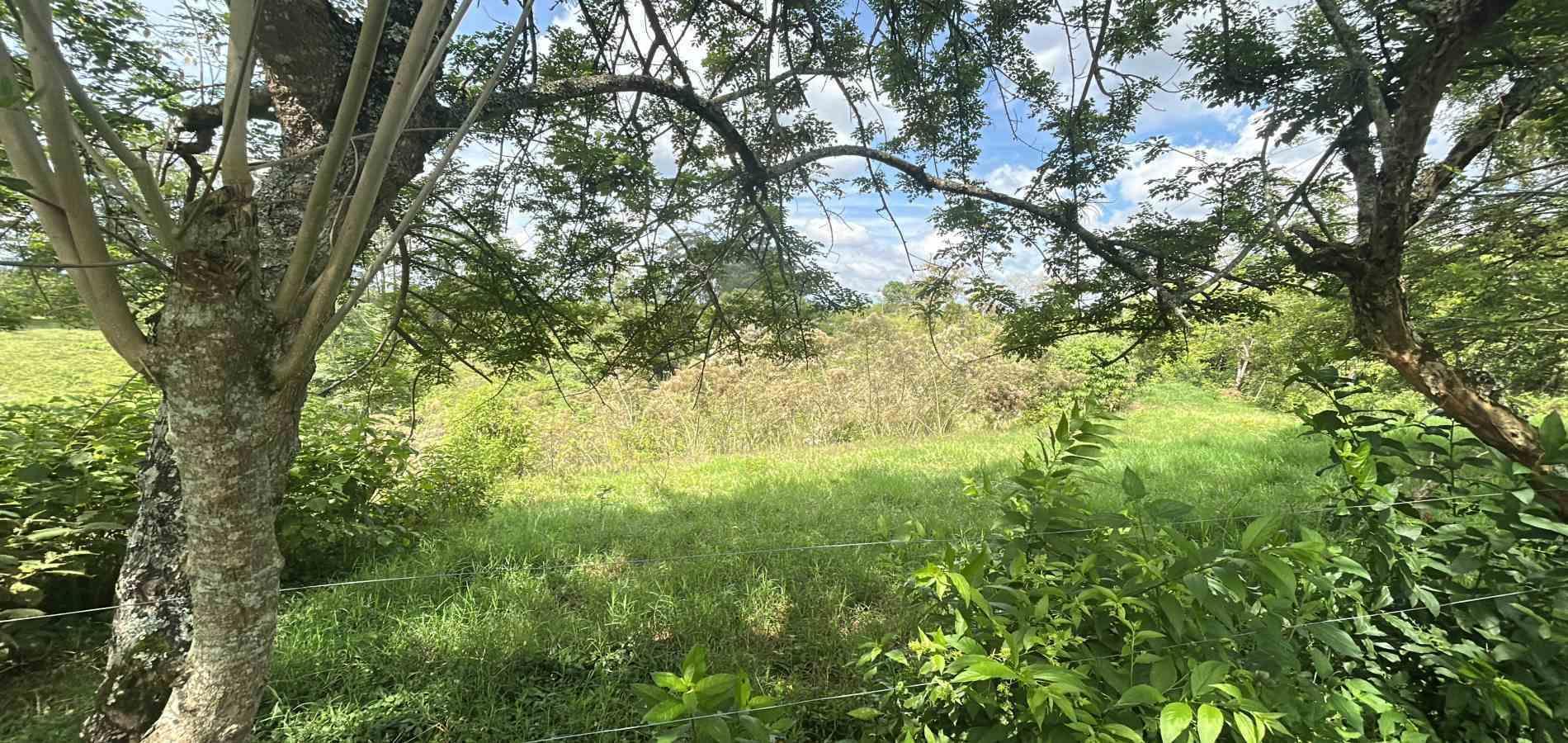 Foto de Lote / terreno en Venta en Via alcala, Pereira - 9 - 279066762