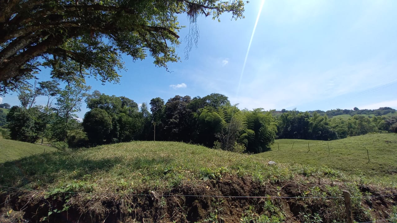 Foto de Lote / terreno en Venta en Vereda santagueda, Palestina - 14 - 279058796