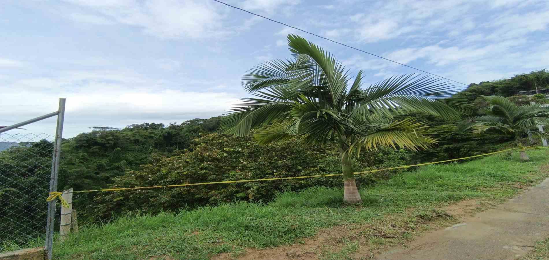 Foto de Lote / terreno para Venta en San peregrino, Manizales - 279068543