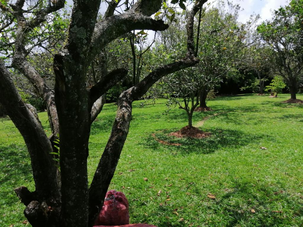 Foto de Lote / terreno en Venta en Cerritos, Pereira - 13 - 279025576