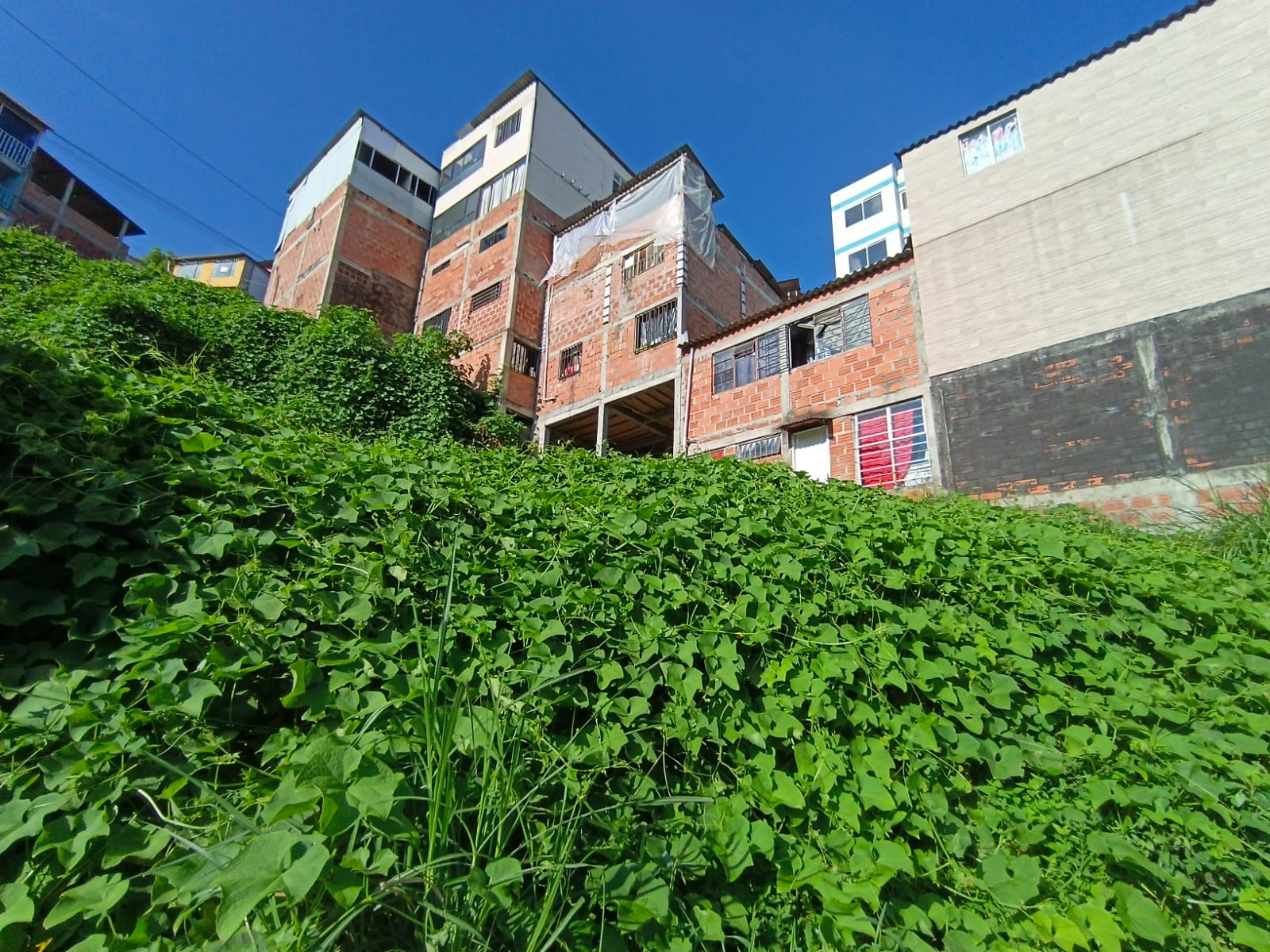 Foto de Lote / terreno en Venta en Bellavista, Villamaria - 9 - 279067096
