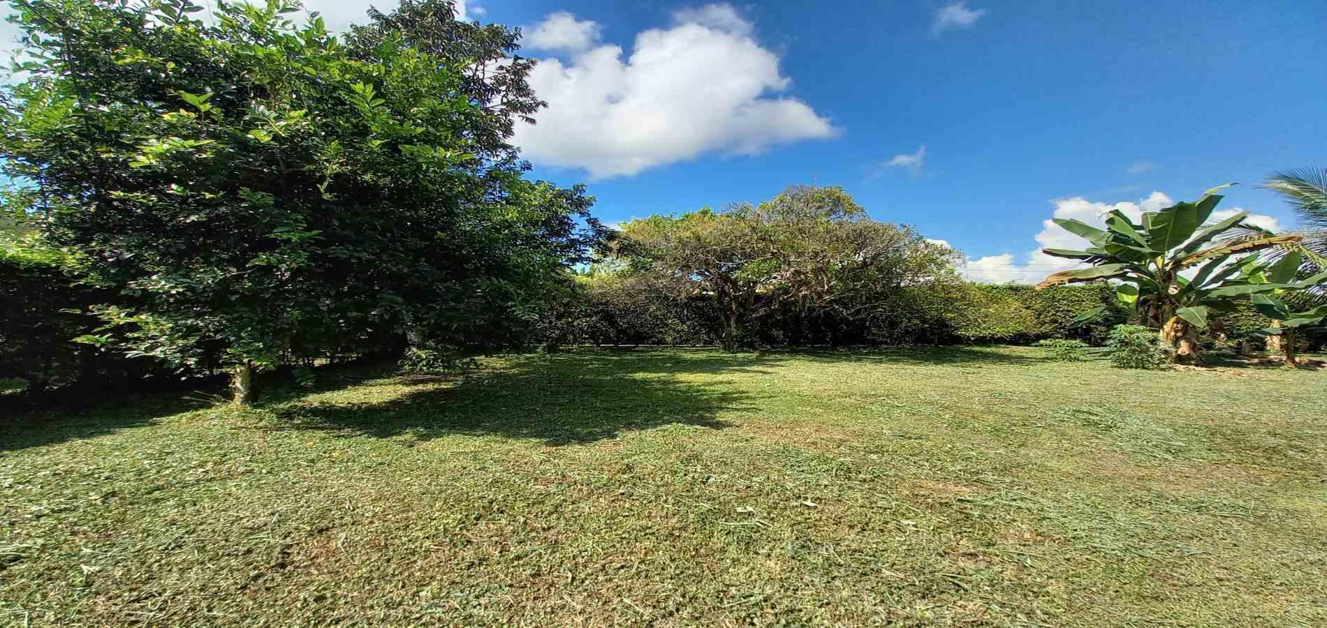 Foto de Lote / terreno en Venta en Vereda santagueda, Palestina - 29 - 279060420