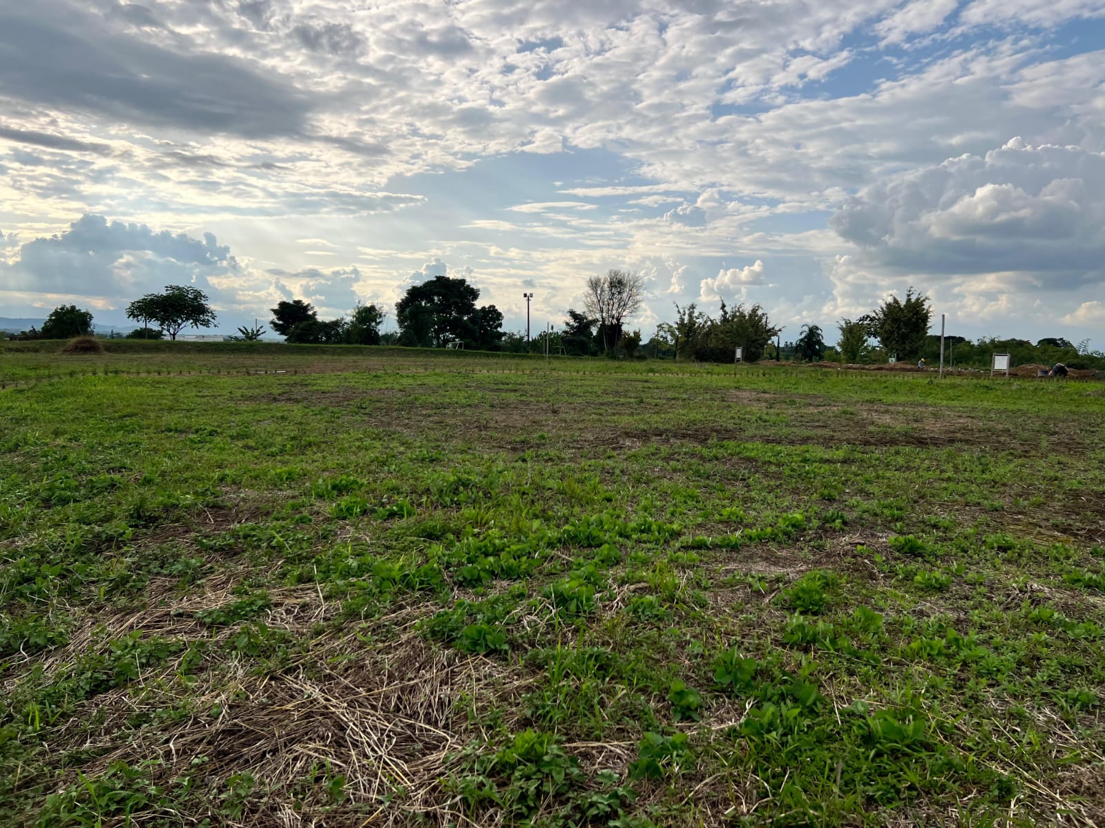 Foto de Lote / terreno en Venta en Filandia, Filandia - 9 - 279066855