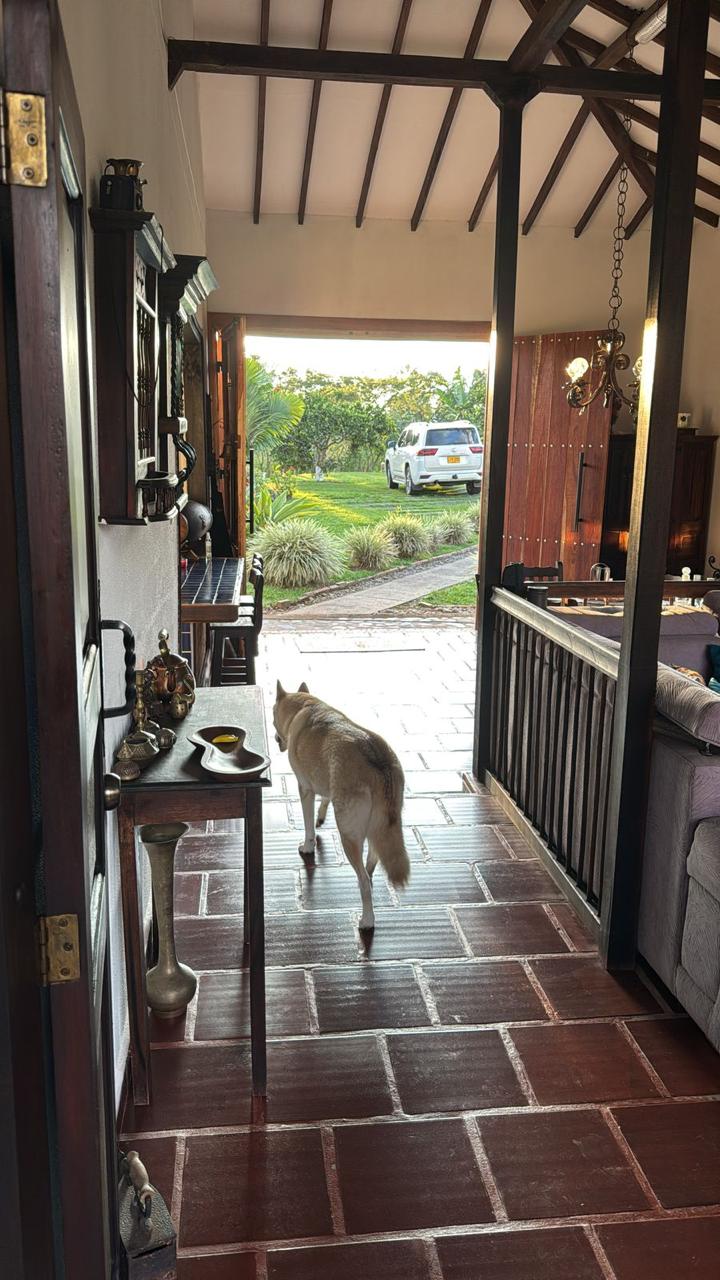 Foto de Finca en Venta en Via armenia, Pereira - 27 - 279062736