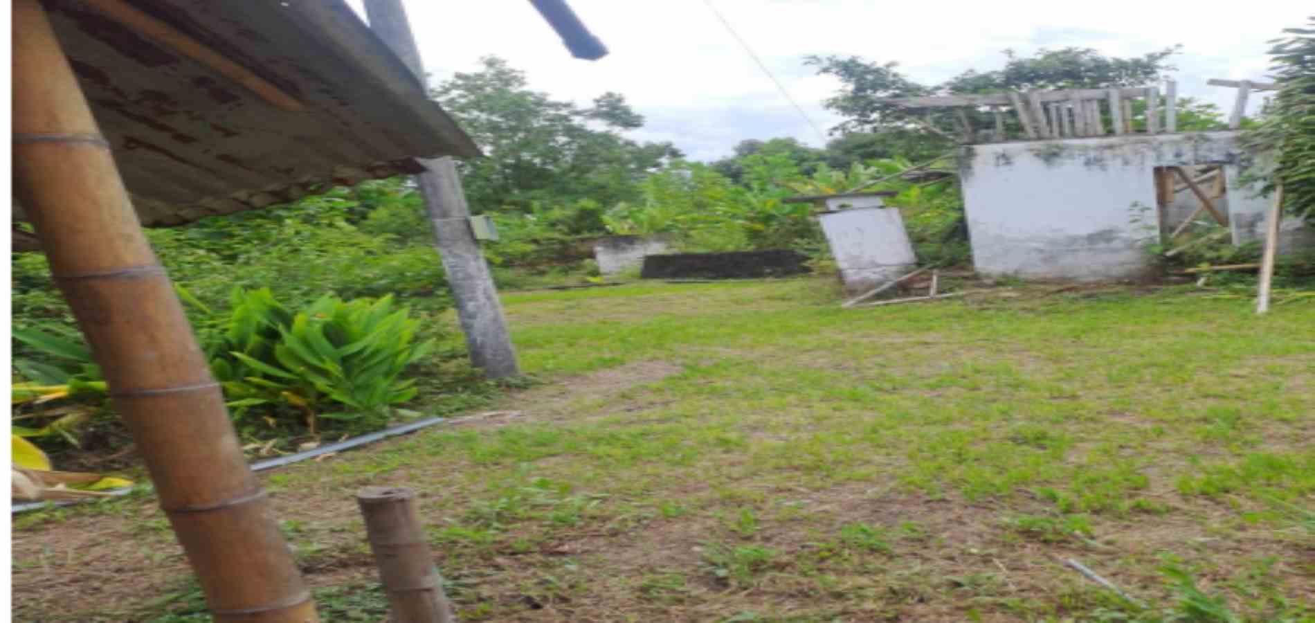 Foto de Lote / terreno en Venta en Las pavas, Manizales - 9 - 279059784