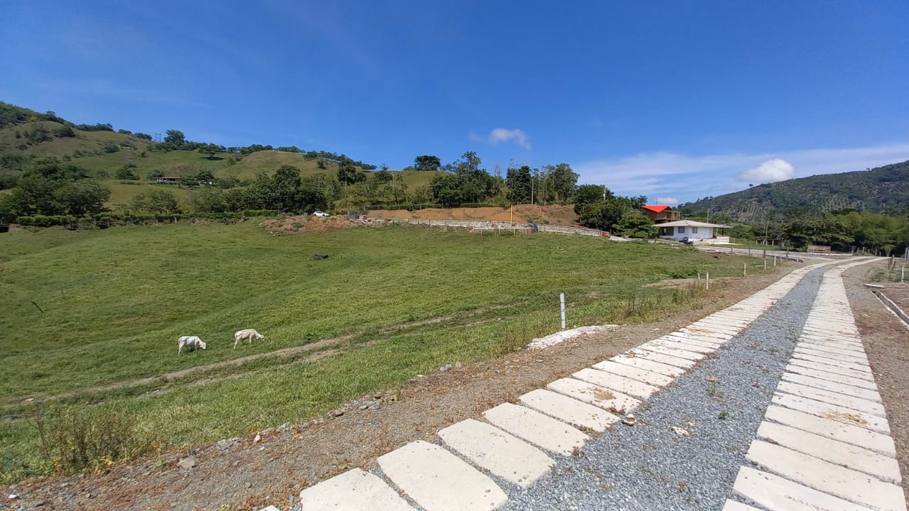 Foto de Lote / terreno en Venta en Vereda santagueda, Palestina - 20 - 279058796