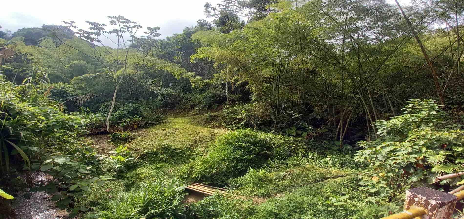 Foto de Lote / terreno en Venta en Vereda la trinidad, Manizales - 15 - 279062689