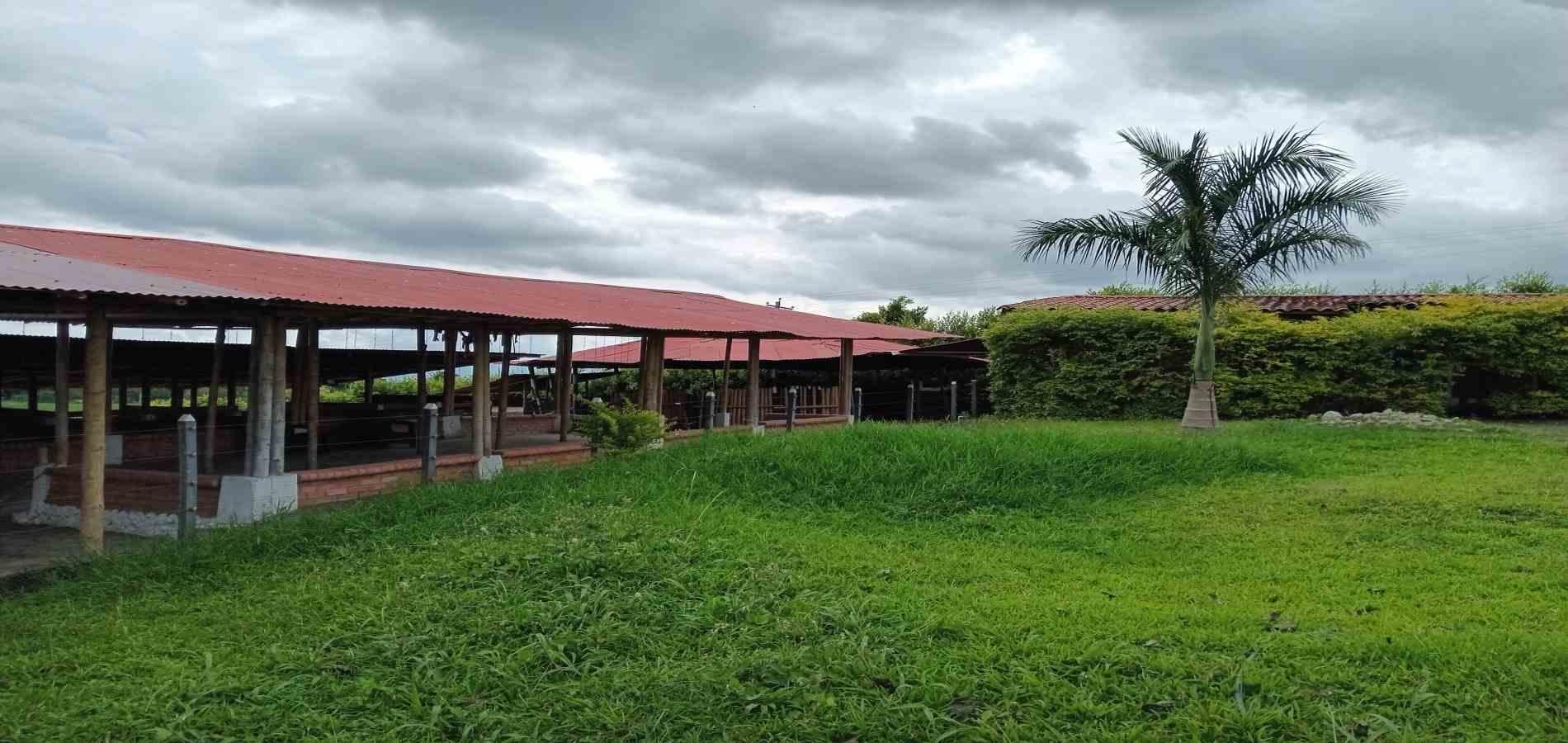 Foto de Finca en Venta en A dos cuadras del parque, Circasia - 11 - 279056832