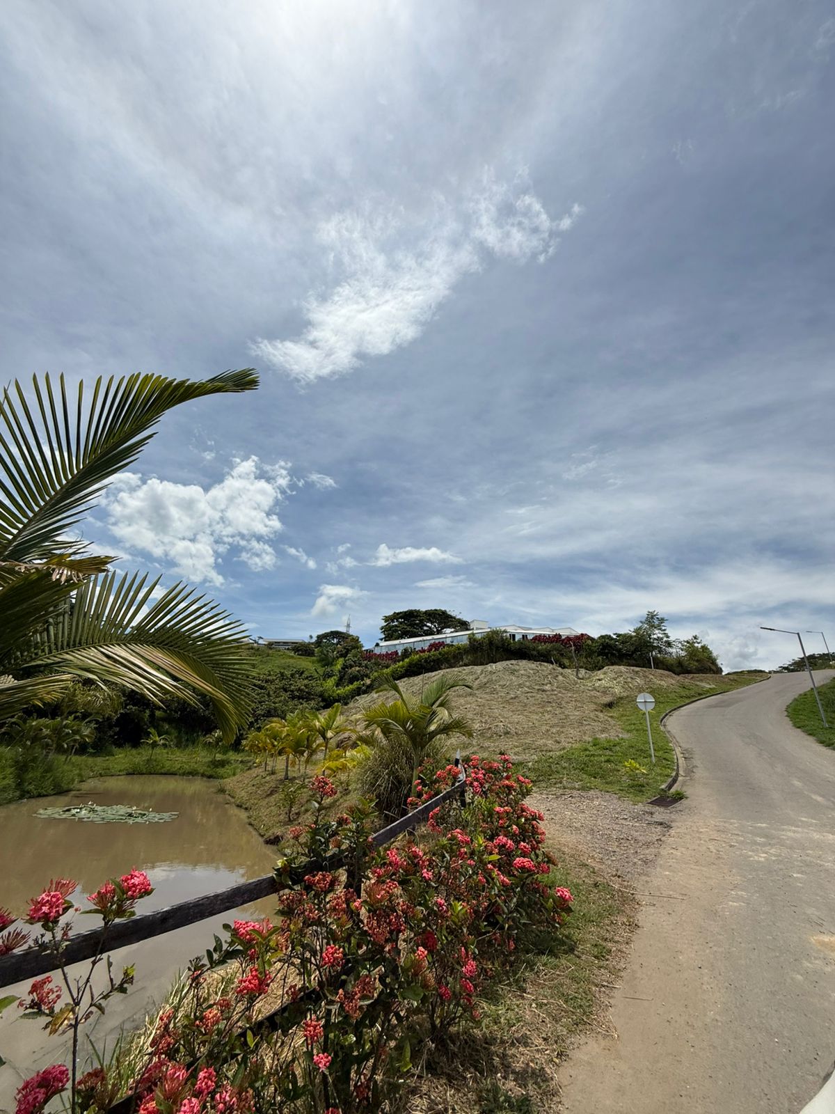 Foto de Lote / terreno en Venta en Cerritos, Pereira - 3 - 279065028