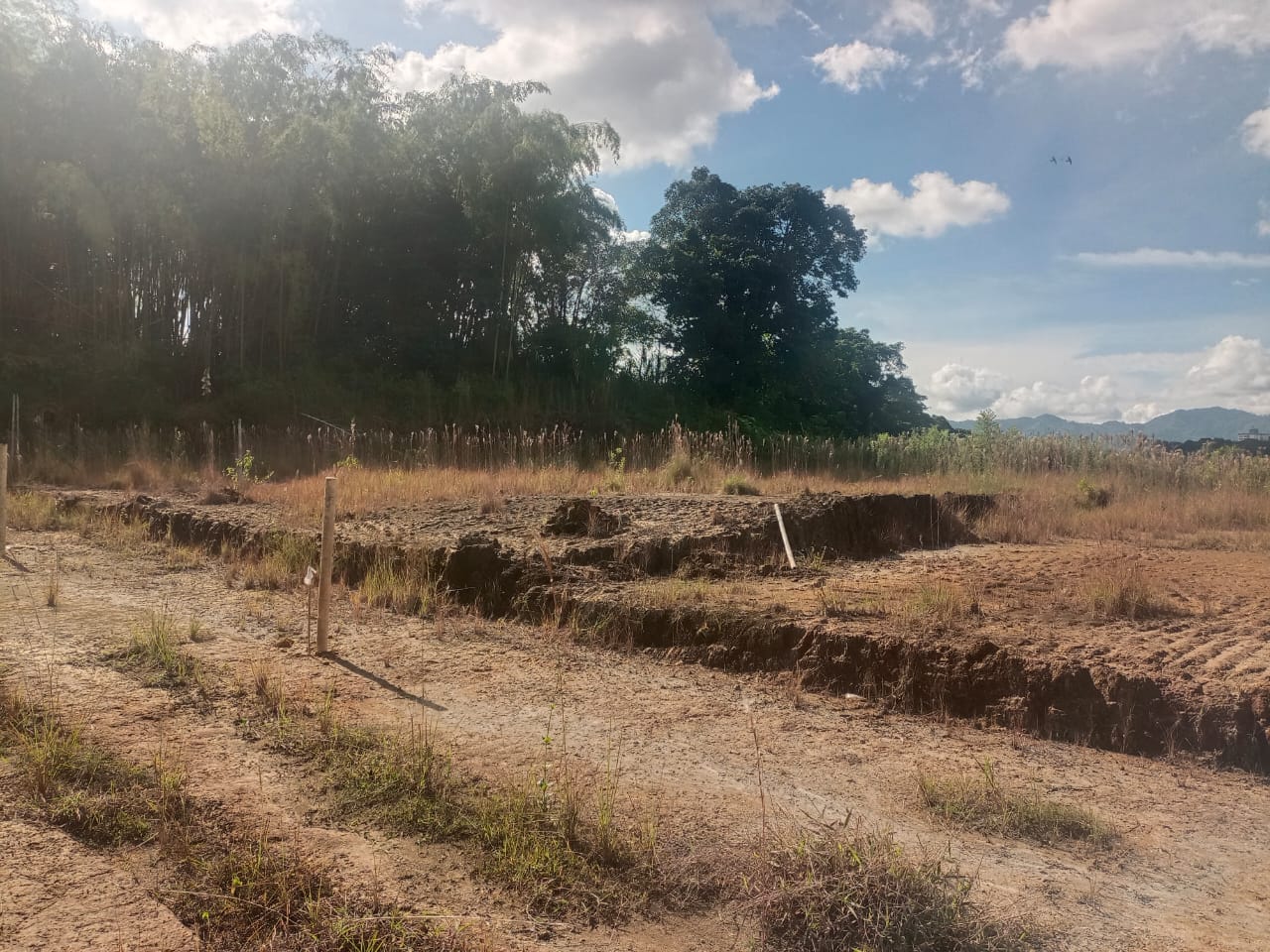 Foto de Lote / terreno en Venta en Via armenia, Pereira - 11 - 279052343