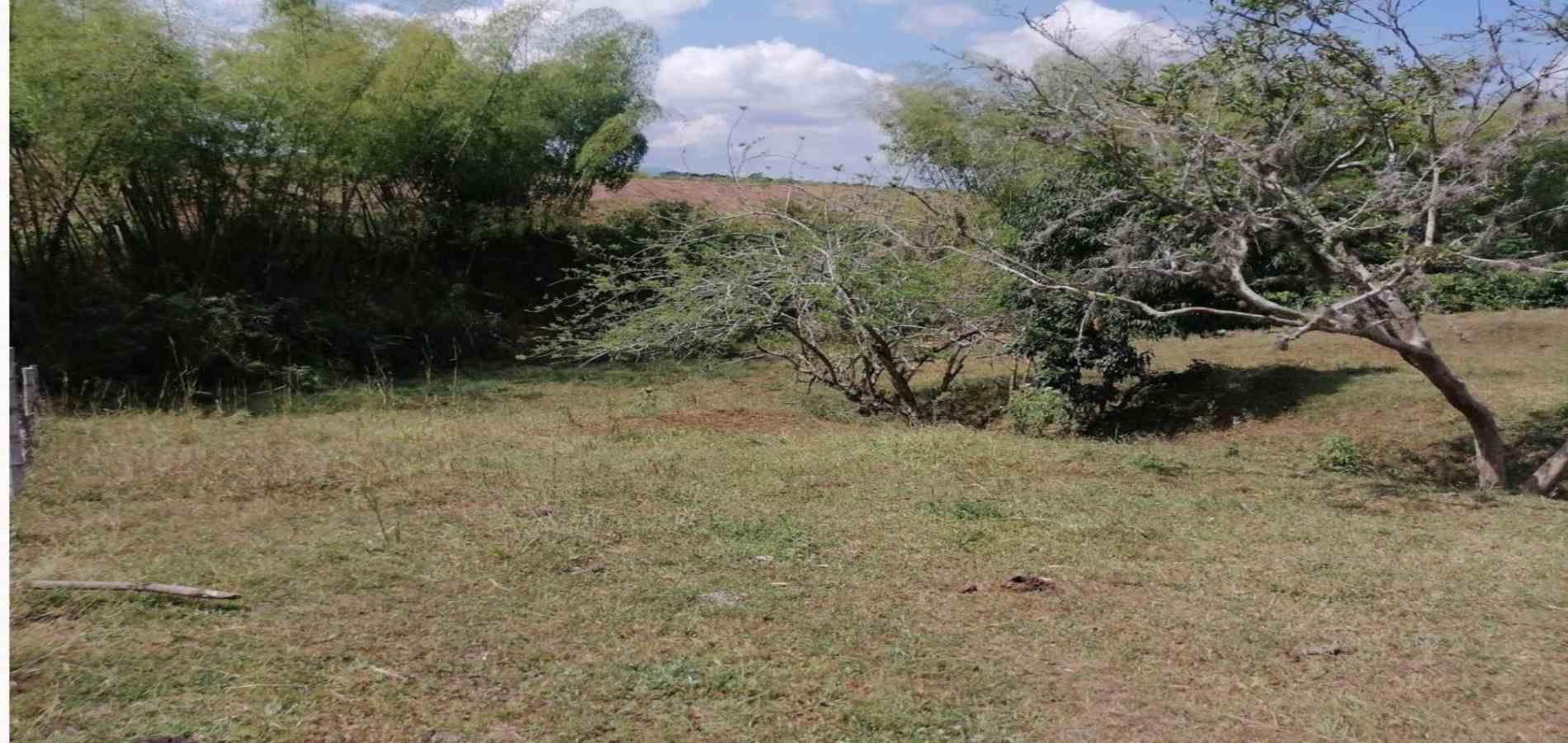 Foto de Lote / terreno en Venta en Cerritos, Pereira - 4 - 2791024501