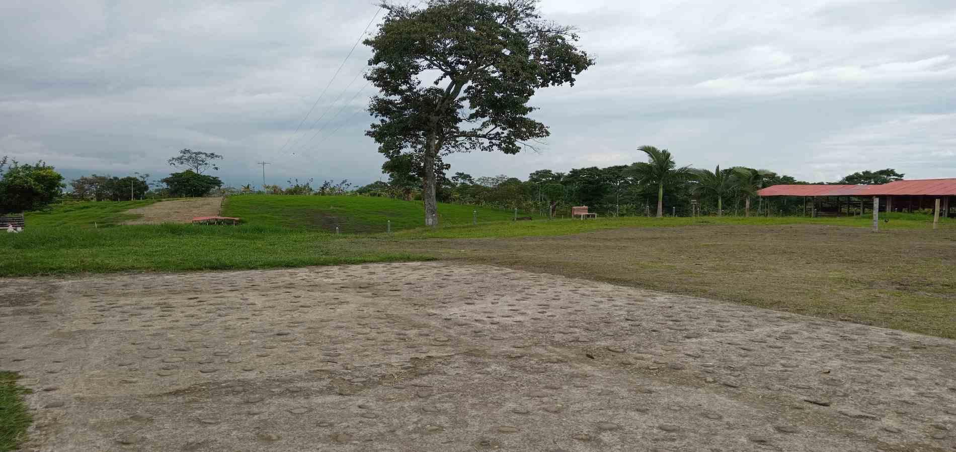 Foto de Finca en Venta en A dos cuadras del parque, Circasia - 17 - 279056832