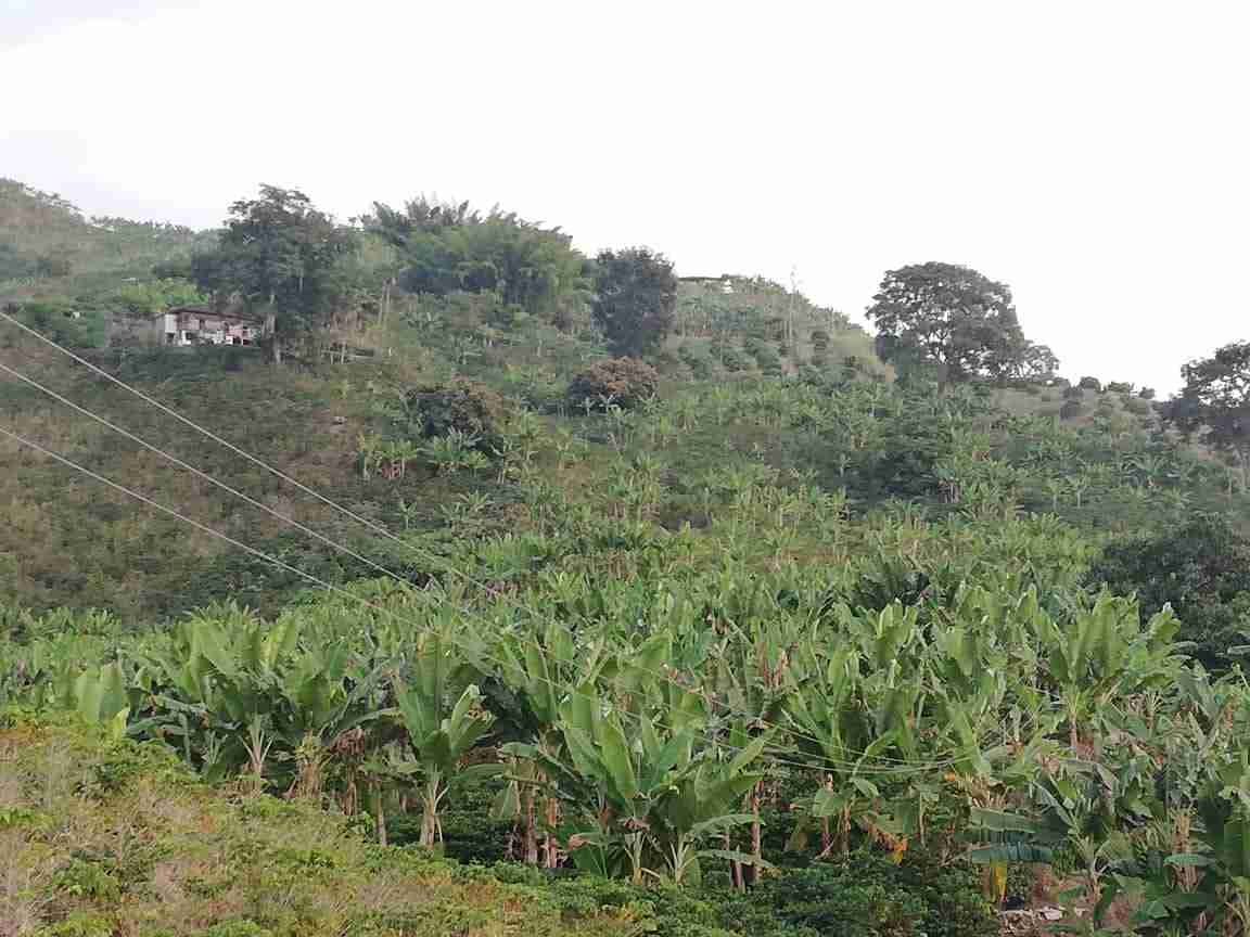 Foto de Lote / terreno en Venta en La cabaña, Manizales - 4 - 279020989