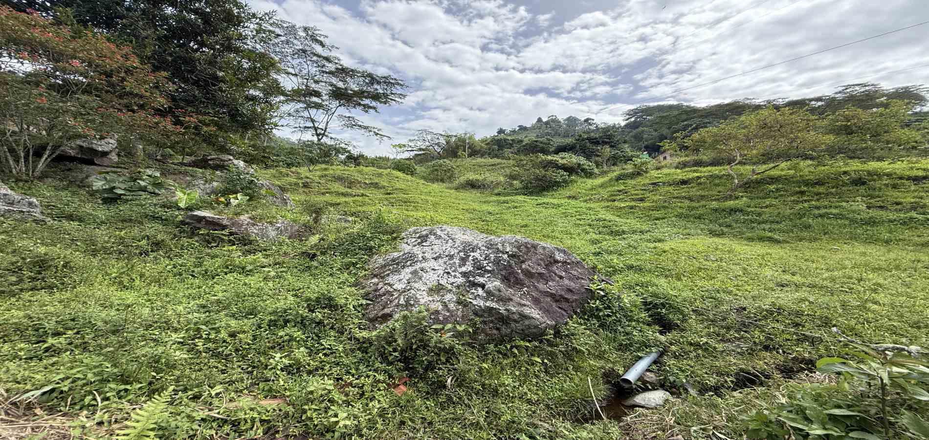 Foto de Finca en Venta en Agua azul, Dosquebradas - 14 - 279063271
