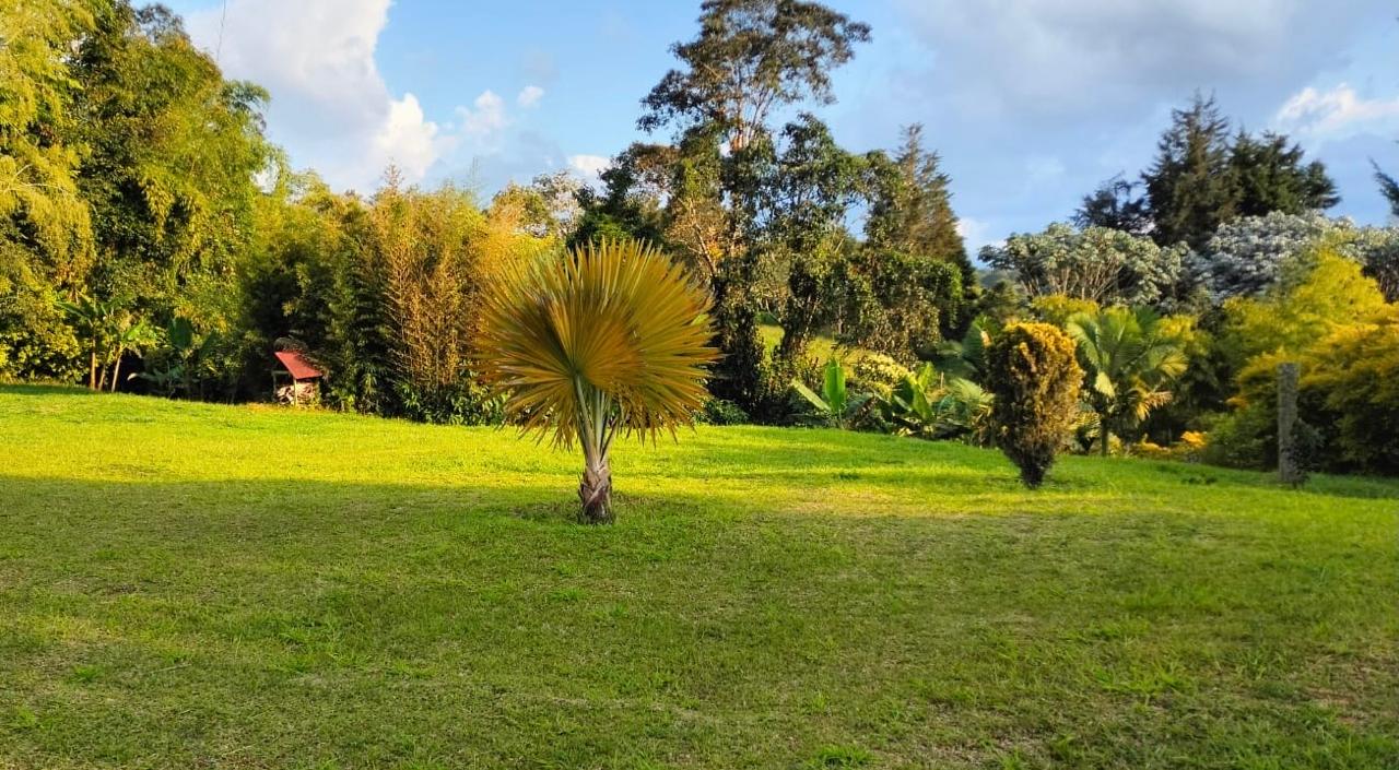 Foto de Finca en Venta en Centro, Filandia - 2 - 279063010