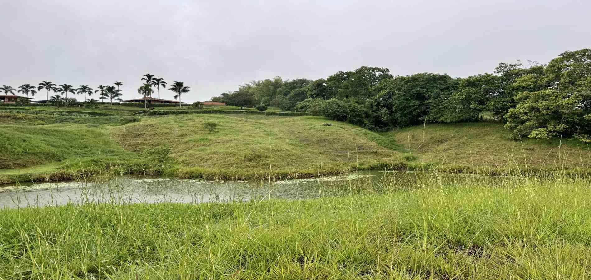 Foto de Lote / terreno para Venta en Cerritos, Pereira - 279059922