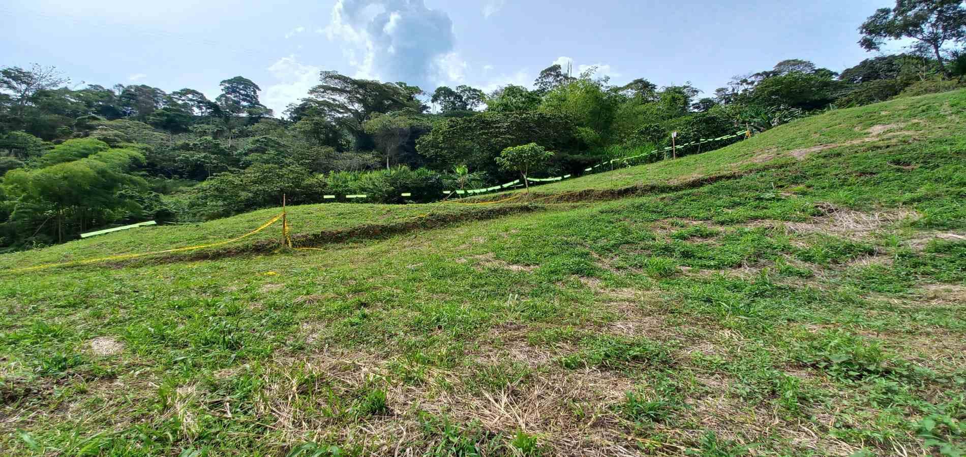 Foto de Lote / terreno en Venta en Combia, Pereira - 7 - 279069589
