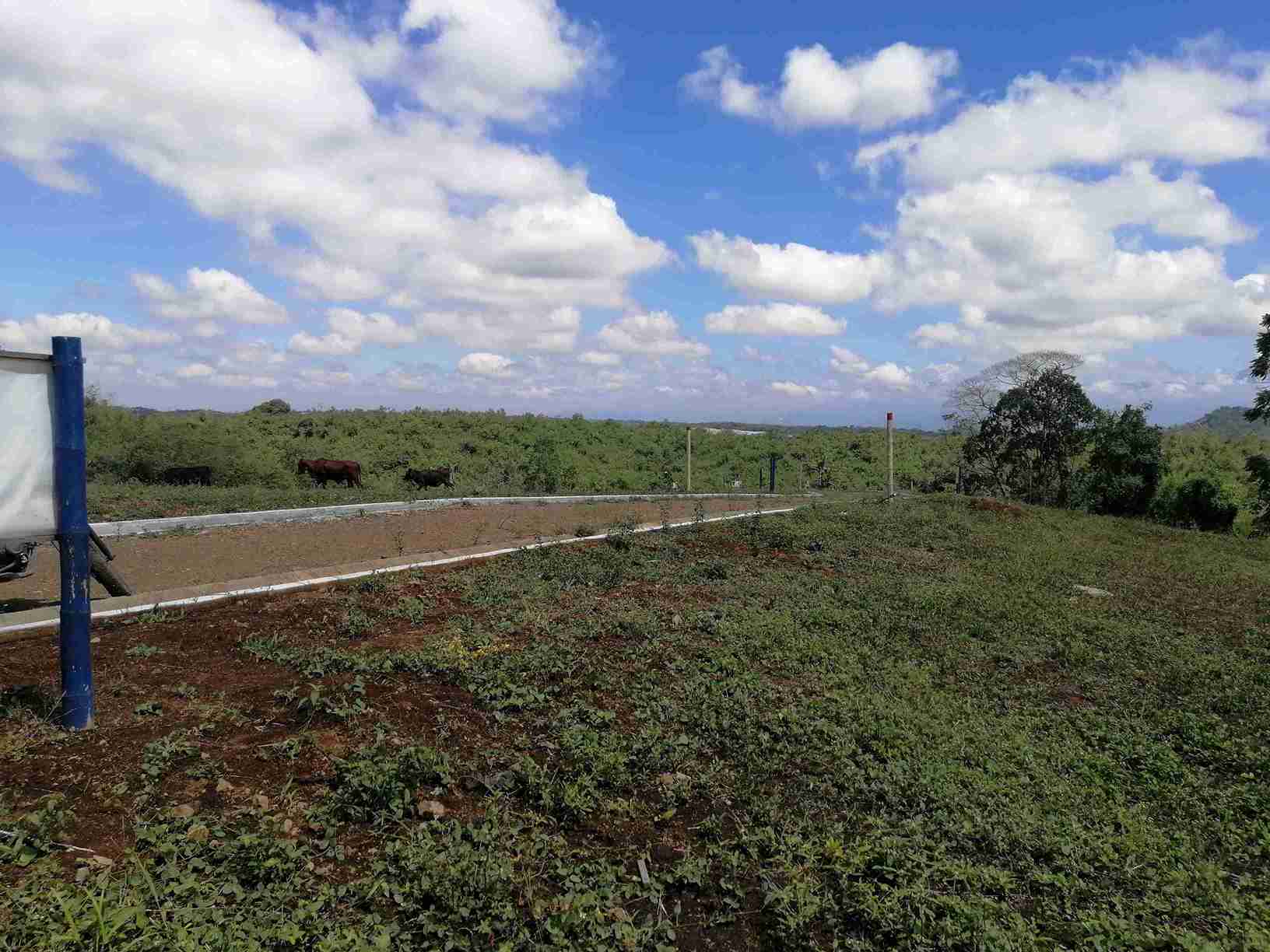 Foto de Lote / terreno en Venta en Combia, Pereira - 7 - 279058096