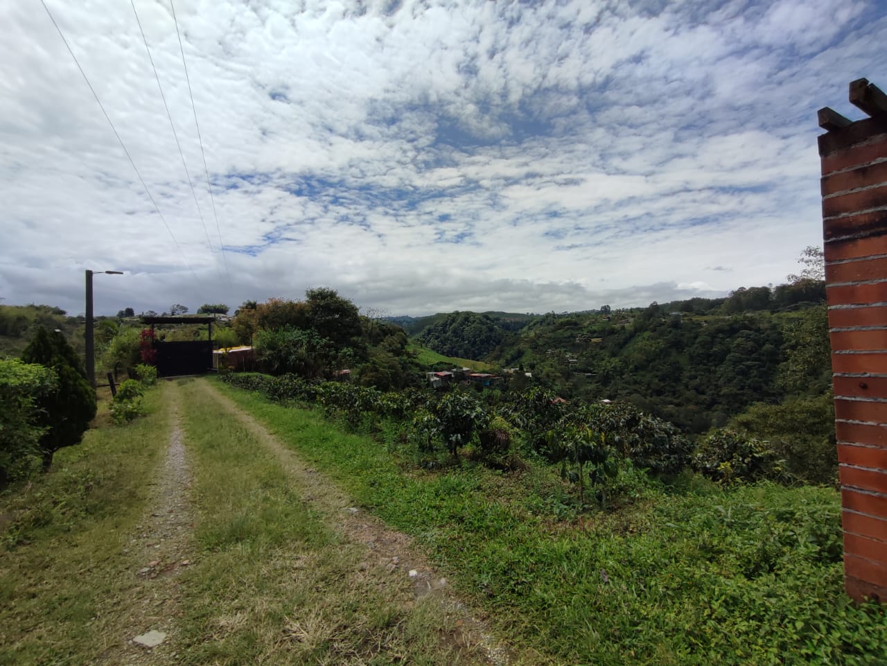 Foto de Finca en Venta en Vereda condina, Pereira - 8 - 279064120