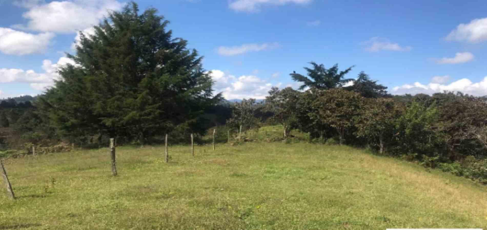 Foto de Lote / terreno en Venta en Vereda minitas , Manizales - 2 - 279025810