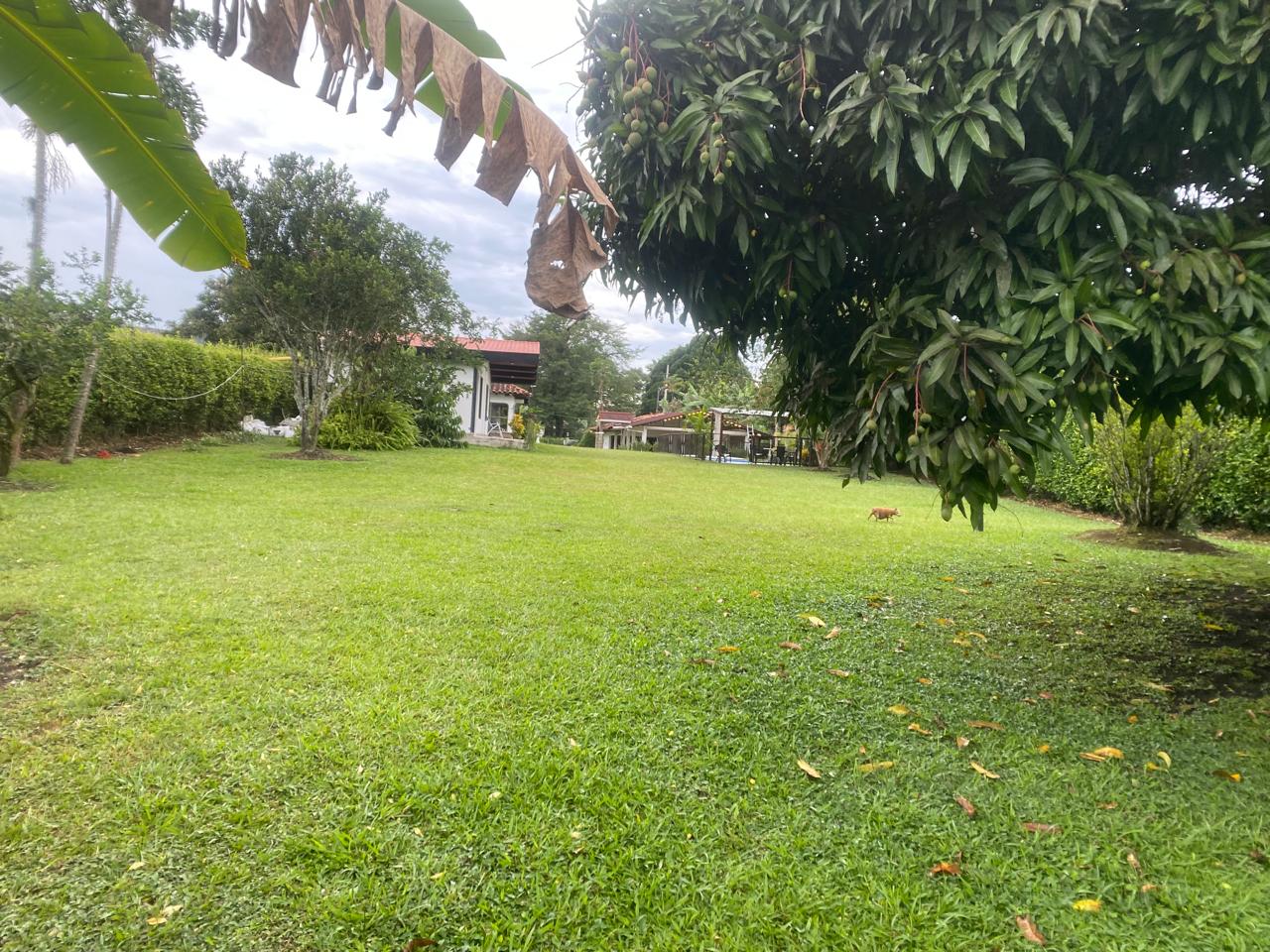 Foto de Finca en Venta en Combia, Pereira - 37 - 279064832