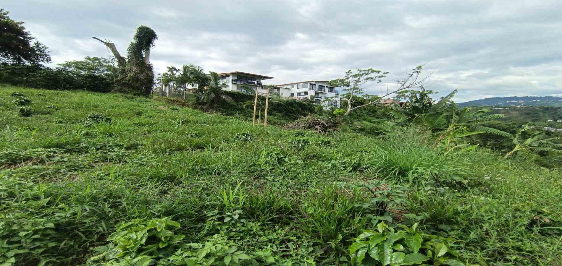 Foto de Lote / terreno en Venta en San peregrino, Manizales - 20 - 279068552