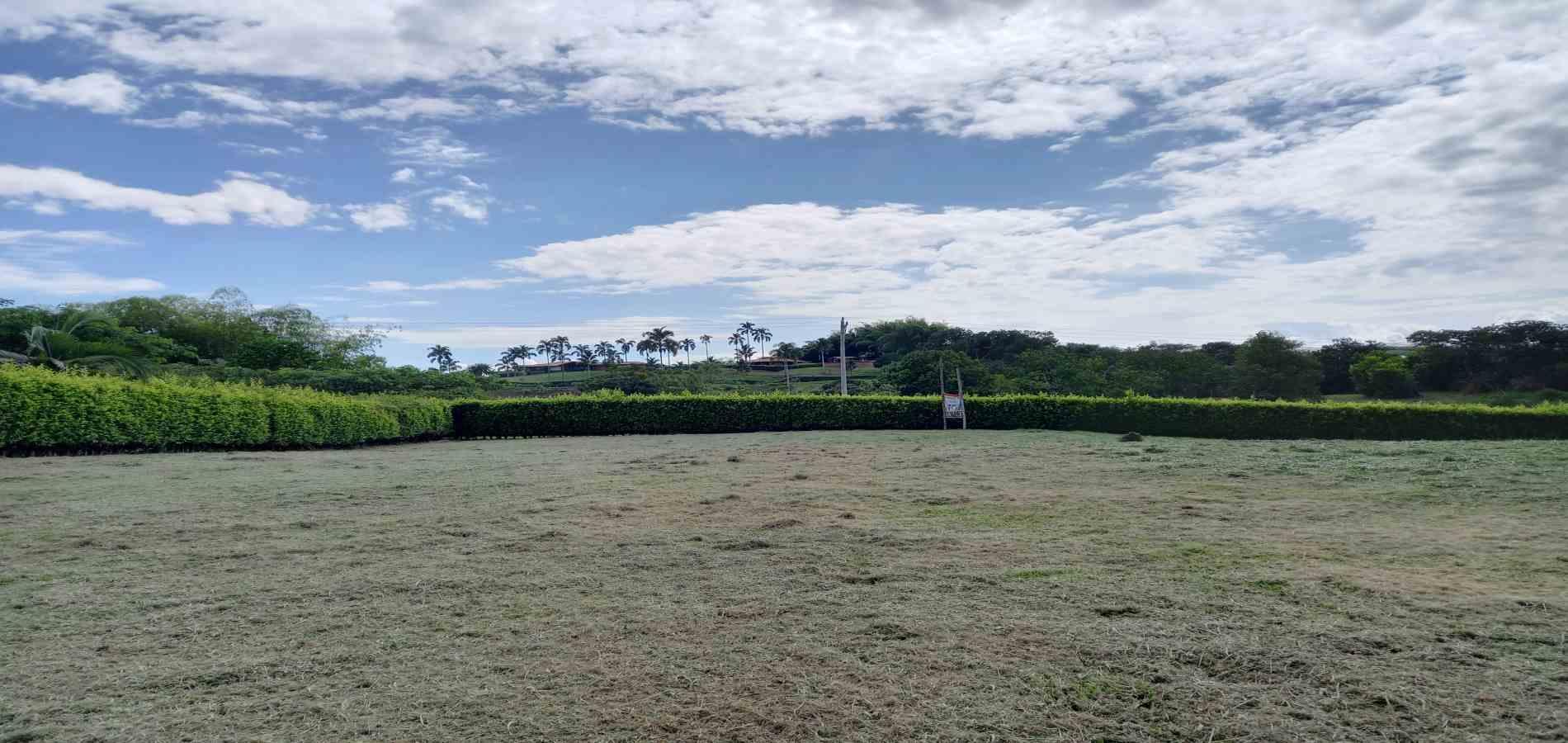 Foto de Lote / terreno en Venta en Cerritos, Pereira - 1 - 279064711
